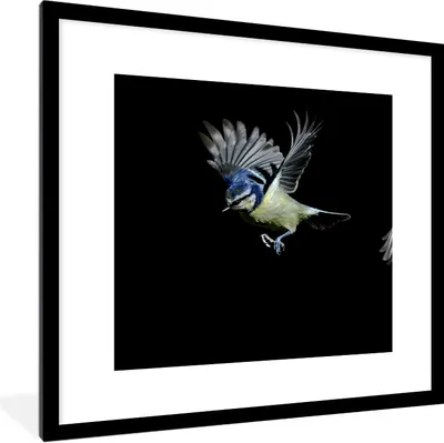 Produktbild von MuchoWow® Gerahmtes Poster Vögel - Federn - Schwarz 40x40 cm - Poster mit Schwarzem Bilderrahmen Wandposter Rahmen Foto Bilder - Poster - Plakat im Rahmen