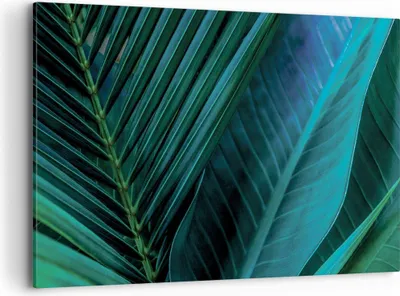 Produktbild von Bild auf Leinwand - Leinwandbild - Einteilig - Blatt Tropen Grün - 100x70cm - Wand Bild - Wanddeko - Wandbilder - Leinwanddruck - Bilder - Wanddekoration - Leinwand bilder - Wandbild - AA100x70-5071