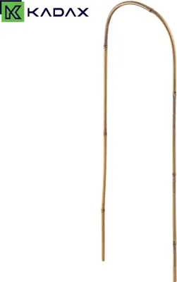 Image de Arche pour plantes en bambou - tuteur/support pour plantes grimpantes - 45 x 15 cm - 1 pièce