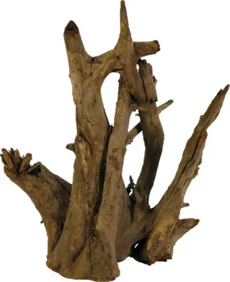 Produktbild von Corbo-Wurzel Small (30-40 cm)