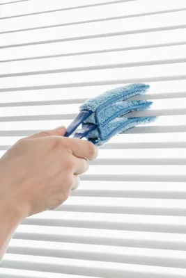 Image de Brosse d'entretien pour store vénitien