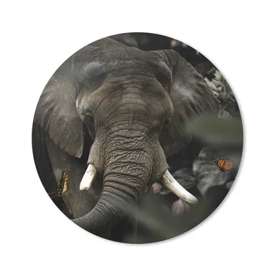 Produktbild von MuchoWow® Mauspad Mousepad Tiere - Elefant - Schmetterlinge 20x20 cm - Mousepads - Maus Mat - Pad - Mausunterlage - Schreibtischmatte