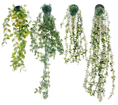 Image de 4 plantes suspendues artificielles, plantes suspendues artificielles avec pots, plantes artificielles réalistes, plantes artificielles pour l'intérieur et l'extérieur, bureau, salon