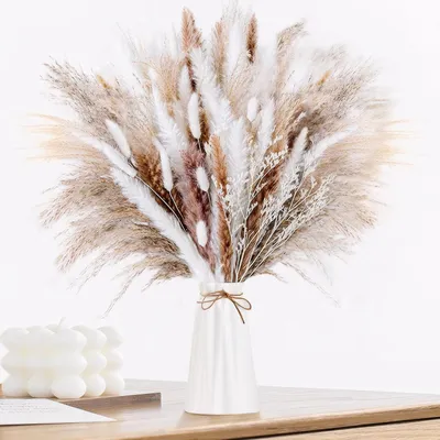 Image de Décoration en plumes de pampa séchées - 60 fleurs naturelles pour vos créations DIY
