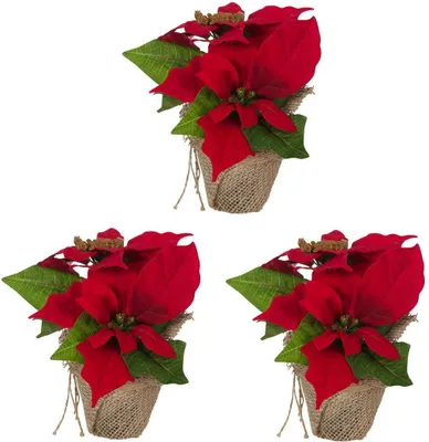 Produktbild von Bambelaa! Weihnachtsstern rot 3 Stück