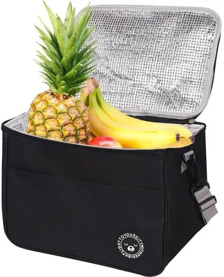 Image de Boîte à lunch isotherme 13 L, thermos, étanche, 29 x 20 x 22 cm, souple