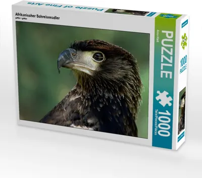 Produktbild von Calvendo Afrikanischer Schreiseeadler 1000 Teile Puzzle quer 640x480mm, Klatt Arno; 7292924