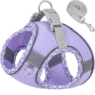 Productafbeelding van Hondenriemset voor kleine tot middelgrote honden, antislipset met riem, geschikt voor wandelen, hardlopen en training. Geschikt voor honden met een halsomvang van 32-38 cm en een borstomvang van 40-45 cm.