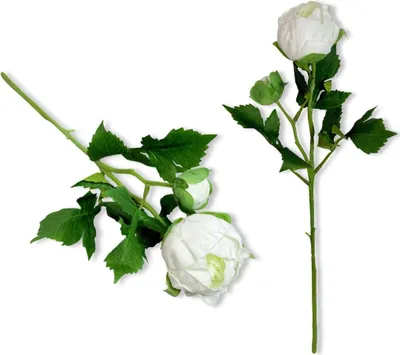 Image de Pivoine artificielle blanche 44 cm - Décoration élégante