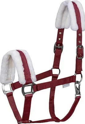 Produktbild von Waldhausen Halfter First Fellhalfter Bordeaux VB