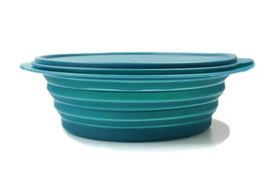 Produktbild von TUPPERWARE Küchenhelfer Teller Mini-Max 2 L dunkelgrün