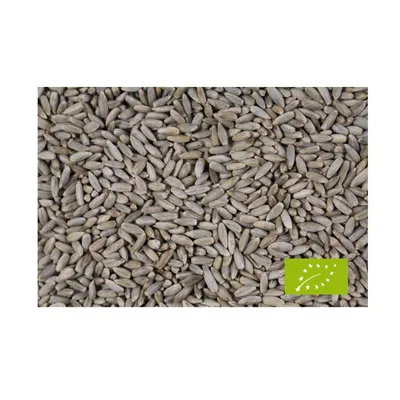 Produktbild von LanDixx BioRoggen 25 kg  -  kontrolliert biologischer Anbau