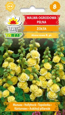 Zdjęcie produktu dla Malwa ogrodowa pełna żółta Nasiona kwiatów - 570 Toraf