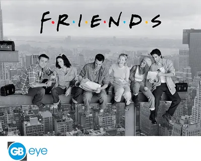 Image de Poster Friends Friends 91.5x61cm