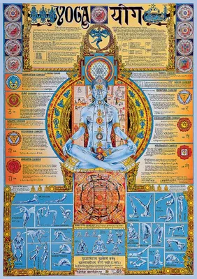 Produktbild von Poster - Educational - Bildung - Yoga