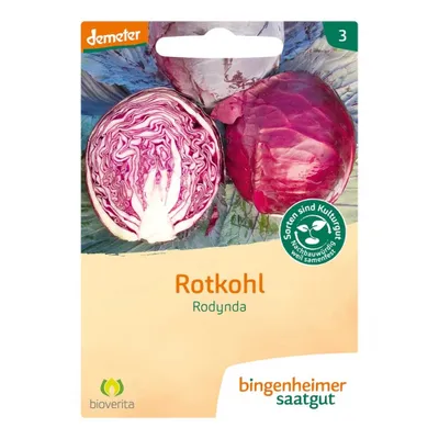 Image de Chou rouge - Rodynda