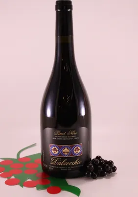 Produktbild von Blauburgunder - 2019 - Weingut Dalzocchio
