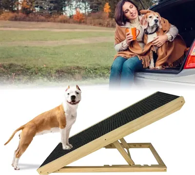 Obrázek produktu pro ACXIN psí rampa 100 cm psí schody auto skládací výškově nastavitelná rampa pes s protiskluzovou vložkou psí schody