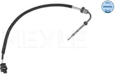 Image de Capteur, Abgastemperatur