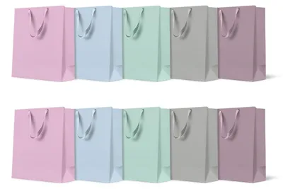 Immagine prodotto di Sacchetti regalo PAW, dimensioni 20 x 25 x 10 cm, confezione da 10 pezzi, colori uniti