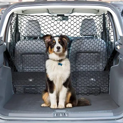 Produktbild von Ibenzoa® Sicherheitsnetz für Haustiere & Gepäck im Auto – 130 x 80 cm, elastisches Polyesterseil & Kunststoff, 4 Haken, für kleine & mittelgroße Fahrzeuge