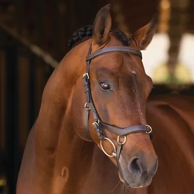 Produktbild von Horseware Ireland Zaum Micklem Rambo Multibridle Trense Braun X- Full