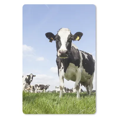 Produktbild von MuchoWow® Mauspad Mousepad Kühe - Gras - Tiere - Sonne - Bauernhof 18x27 cm - Mousepads - Maus Mat - Pad - Mausunterlage
