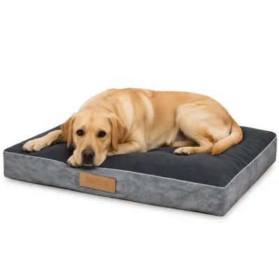 Image de Matelas pour chien Dogeste 110x90 cm taille XXL – gris