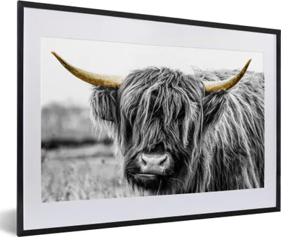 Produktbild von MuchoWow® Gerahmtes Poster Schottischer Highlander - Hörner - Gold - Schwarz 60x40 cm - Poster mit Schwarzem Bilderrahmen Wandposter Rahmen Foto Bilder - Schlafzimmer - Plakat in Rahmen - Drucken