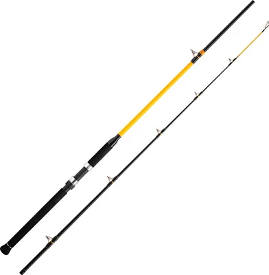 Obrázok produktu pre WFT Wallerrute Never Crack Catfish Boat LTC Dĺžka cm: 320