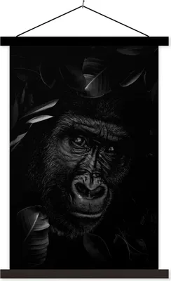Produktbild von MuchoWow® Textilposter Botanischer Affe vor dunklem Hintergrund - schwarz und weiß 60x90 cm mit schwarzem Rahmen - Poster Wohnzimmer