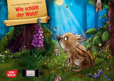 Produktbild von Wie schläft der Wald? Kamishibai Bildkartenset