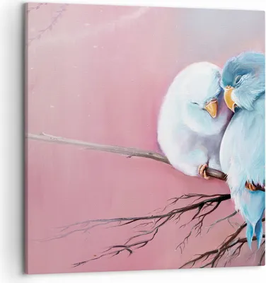 Produktbild von Bild auf Leinwand - Leinwandbild - Einteilig - Vögel Blau Zweig - 50x50cm - Wand Bild - Wanddeko - Wandbilder - Leinwanddruck - Bilder - Wanddekoration - Leinwand bilder - Wandbild - AC50x50-5026