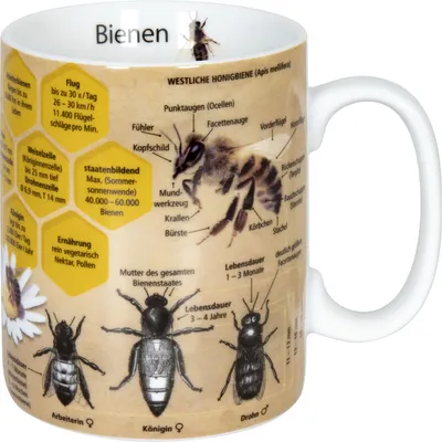 Obrázok produktu pre KÖNITZ Kaffeebecher Wissensbecher Biene 490ml