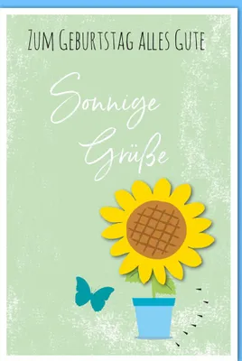 Produktbild von Geburtstag – Glückwunschkarte im Format 11,5 x 17 cm mit Umschlag - So