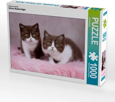 Produktbild von CALVENDO Puzzle Ein Motiv aus dem Kalender Kleine Stubenstiger | 1000 Teile Lege-Größe 64x48cm Foto-Puzzle für glückliche Stunden