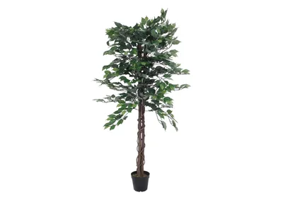 Zdjęcie produktu dla EUROPALMS Ficus-Benjamini wielopniowy, sztuczna roślina, 150 cm