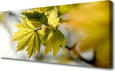 Produktbild von Tulup Leinwand-Bilder 125x50 Wandbild Canvas Kunstdruck Blätter Pflanzen
