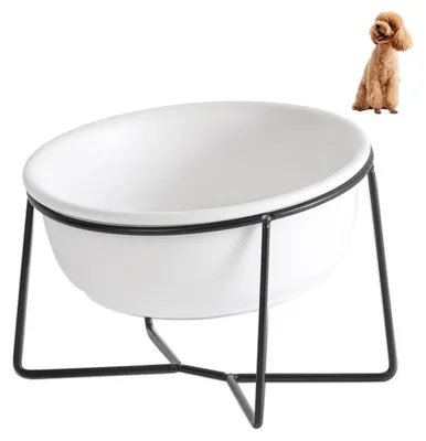 Immagine prodotto di Ciotola rialzata per cani, in Vetroceramica, con doppio contenitore e supporto, capacità 530 ml, colore bianco
