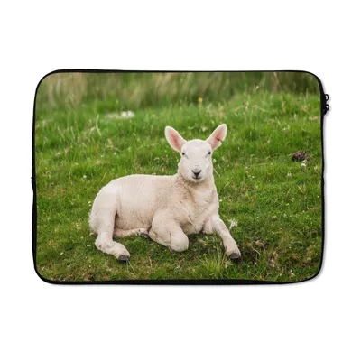 Produktbild von MuchoWow® Laptop Hülle 13 Zoll Schafe - Tiere - Lamm Laptoptasche - Laptophülle - Sleeve - Rundumschutz