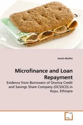 Produktbild von Microfinance and Loan Repayment