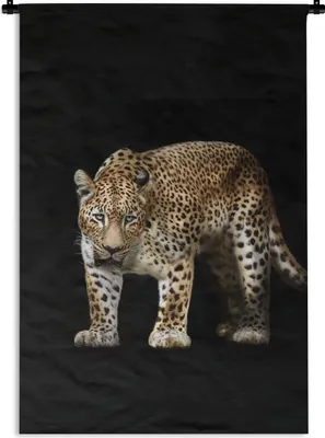 Produktbild von MuchoWow® Wandteppich Wandbehang Leopard - Schwarz - Tiere 60x90 cm Tapisserie Dekoration Wandtuch - Foto-Teppich - Abwaschbar
