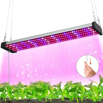 A grow light illuminates young plants growing in soil.
