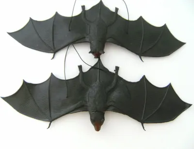 Produktbild von Fledermaus Fledermäuse, Hartgummi 2erSet, je 35cm,  Vampire Vampir Tiere spielen