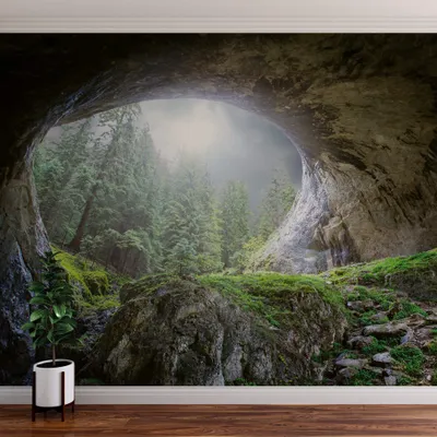 Produktbild von A.S. Création Vlies Fototapete Wald Cave In The Forest DD118919 Baum Designwalls