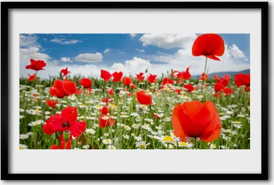 Produktbild von Bild 60x40 MDF-Rahmen Wandkunst Wiese Blumen Natur
