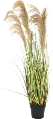 Immagine prodotto di EUROPALMS Canna cinese Gracillimus, artificiale, 140 cm (82600187)