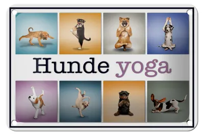 Produktbild von Blechschild Hund 18x12cm Hunde Yoga Wanddeko bunt