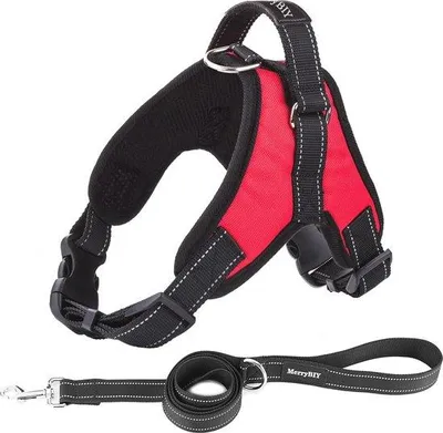Image de Harnais pour chien de taille moyenne, harnais anti-traction, sûr et réglable