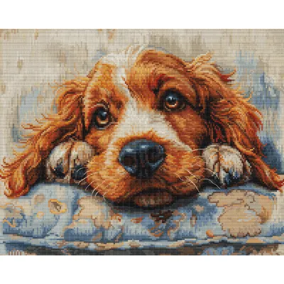 Productafbeelding van Luca-S borduurset voor telwerk, "Cocker Spaniel", 32x25 cm